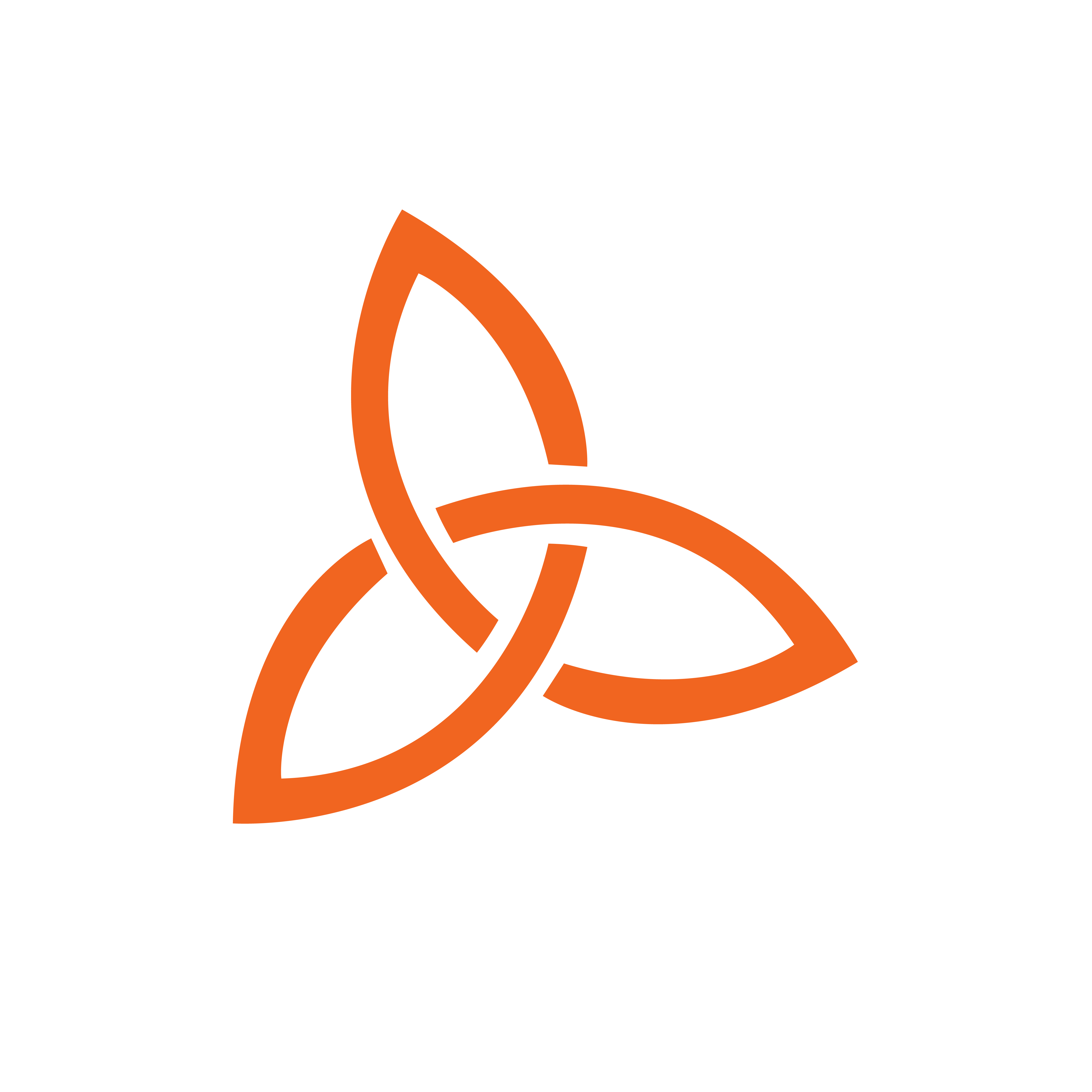 BICS | Board of Irish College Societies